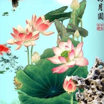 我只在乎在乎我的