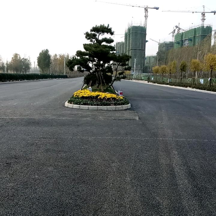 财哥