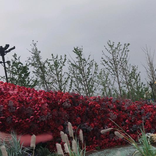 开开心心每一天