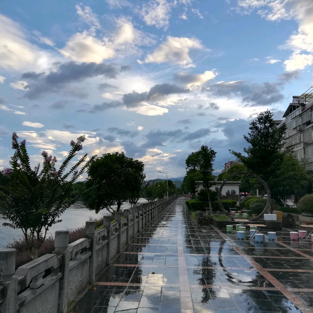 观阳居士