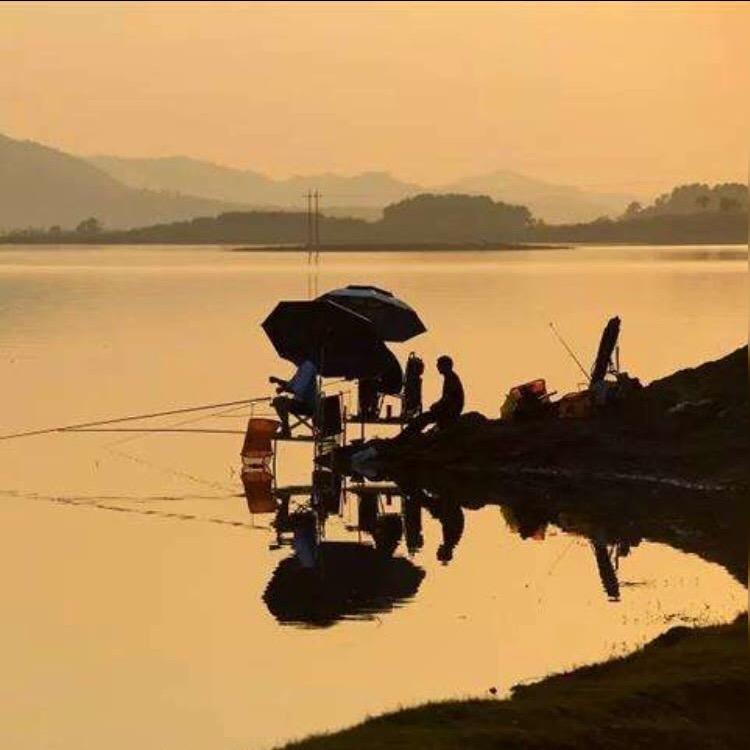 张帆…钓鱼🎣、&顺平