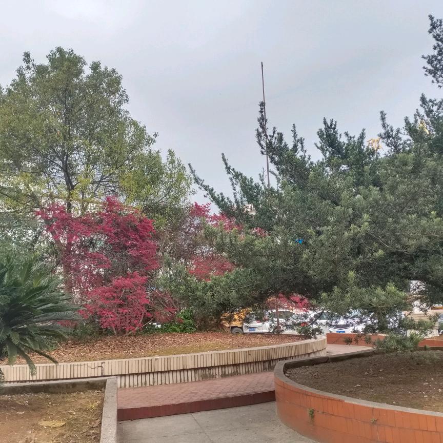 用户1074488552518走四方