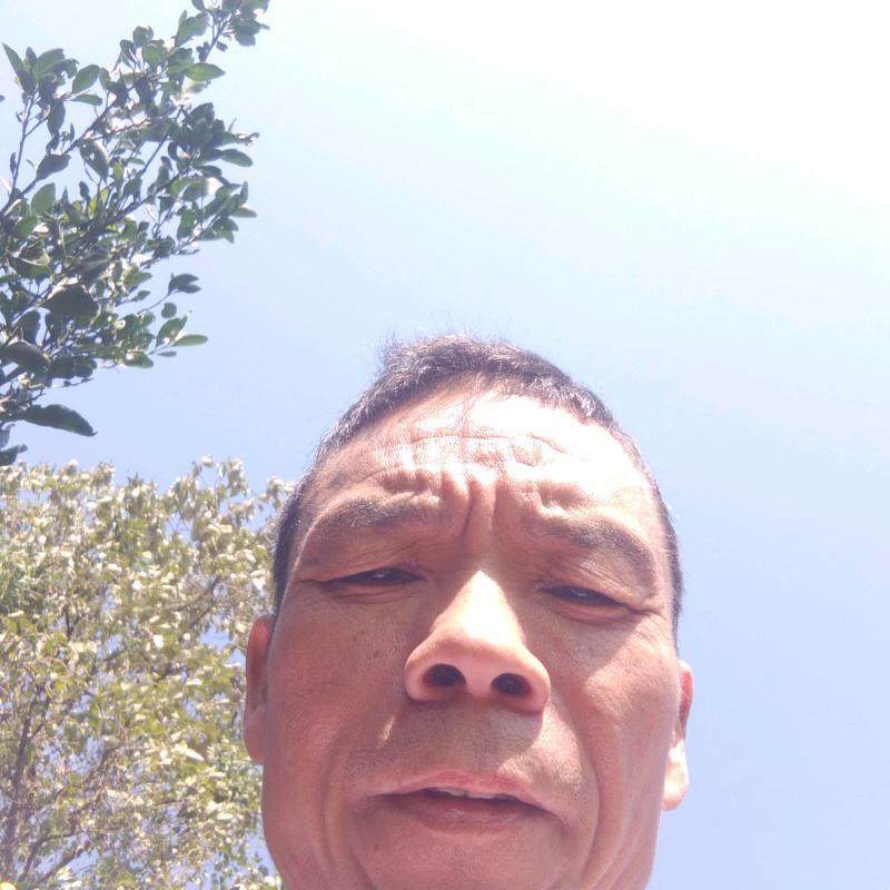 快乐迷笛