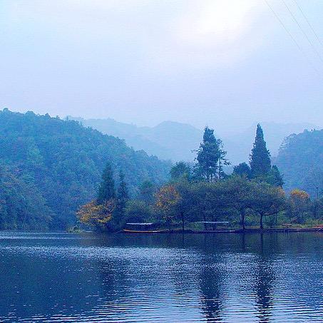 蒙城县勇慧家庭农场