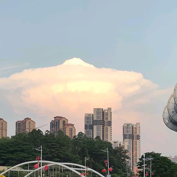 丢呀丢毛线