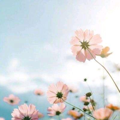 一诺🌻妈妈