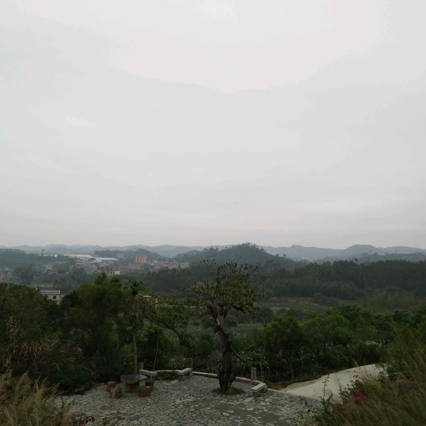 源羽