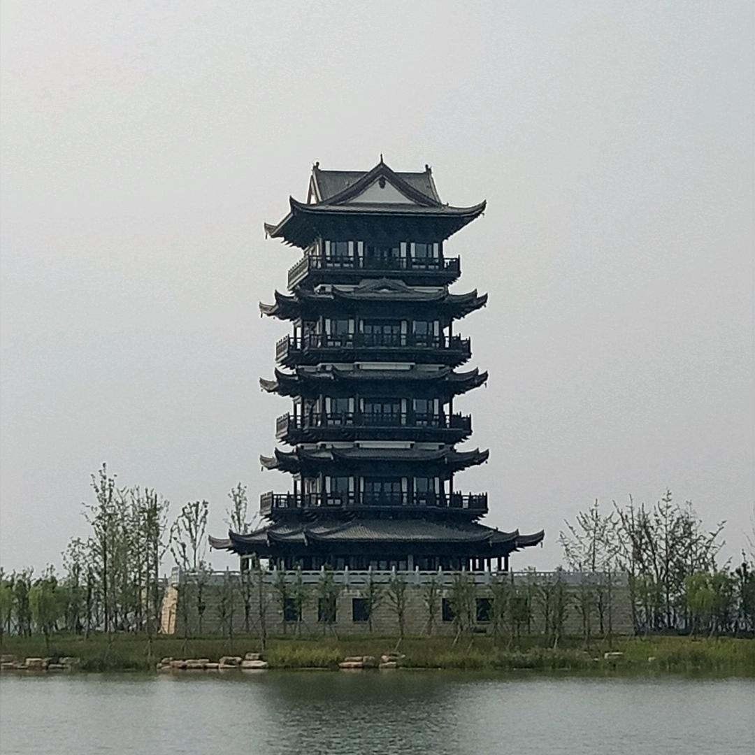 大鲨鱼