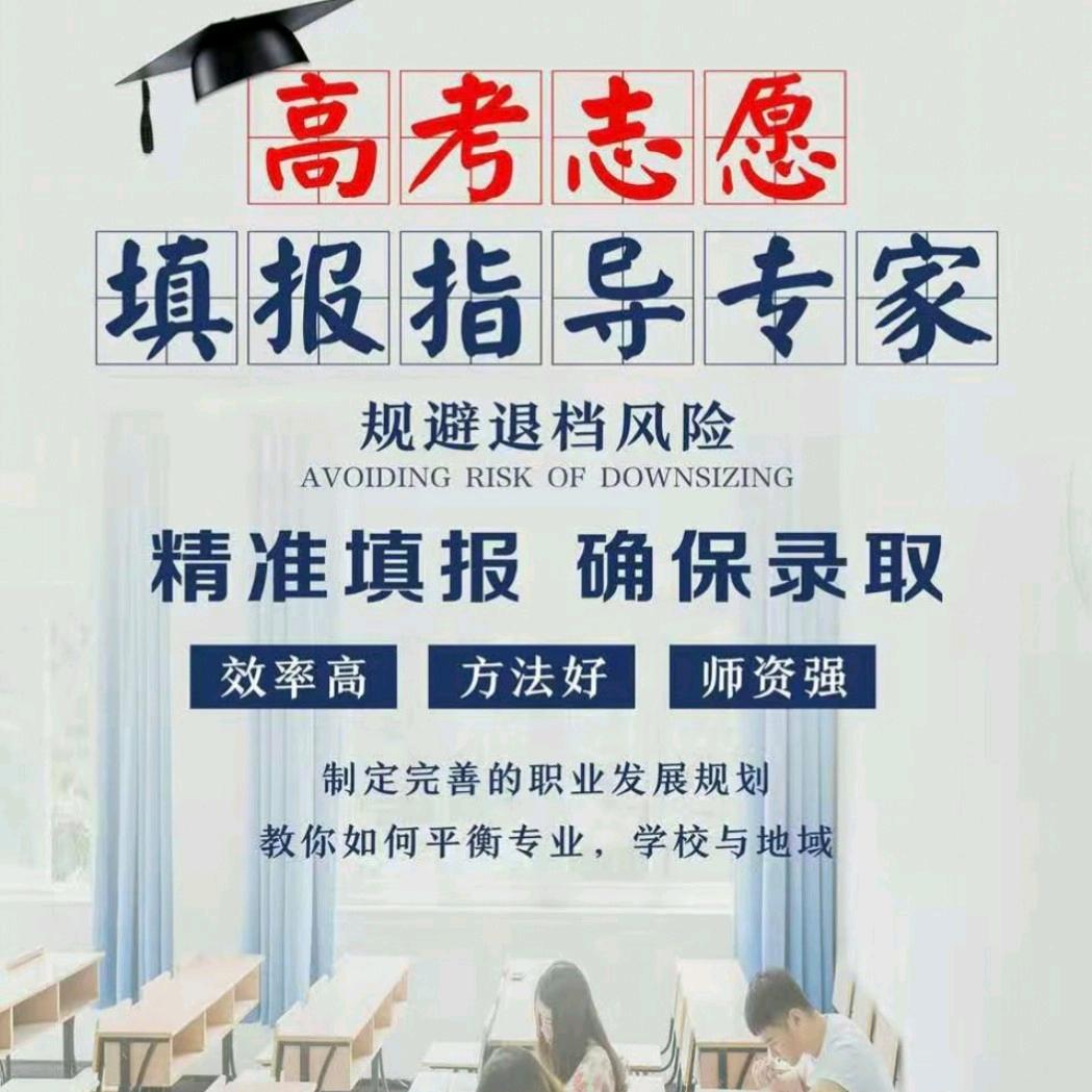 阳光高考