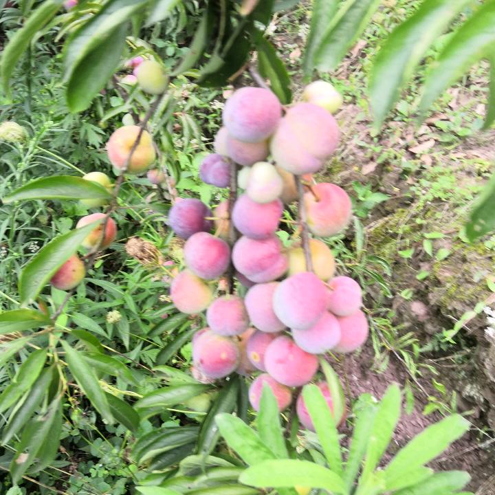 ❄️开心快乐的一天⁵²¹