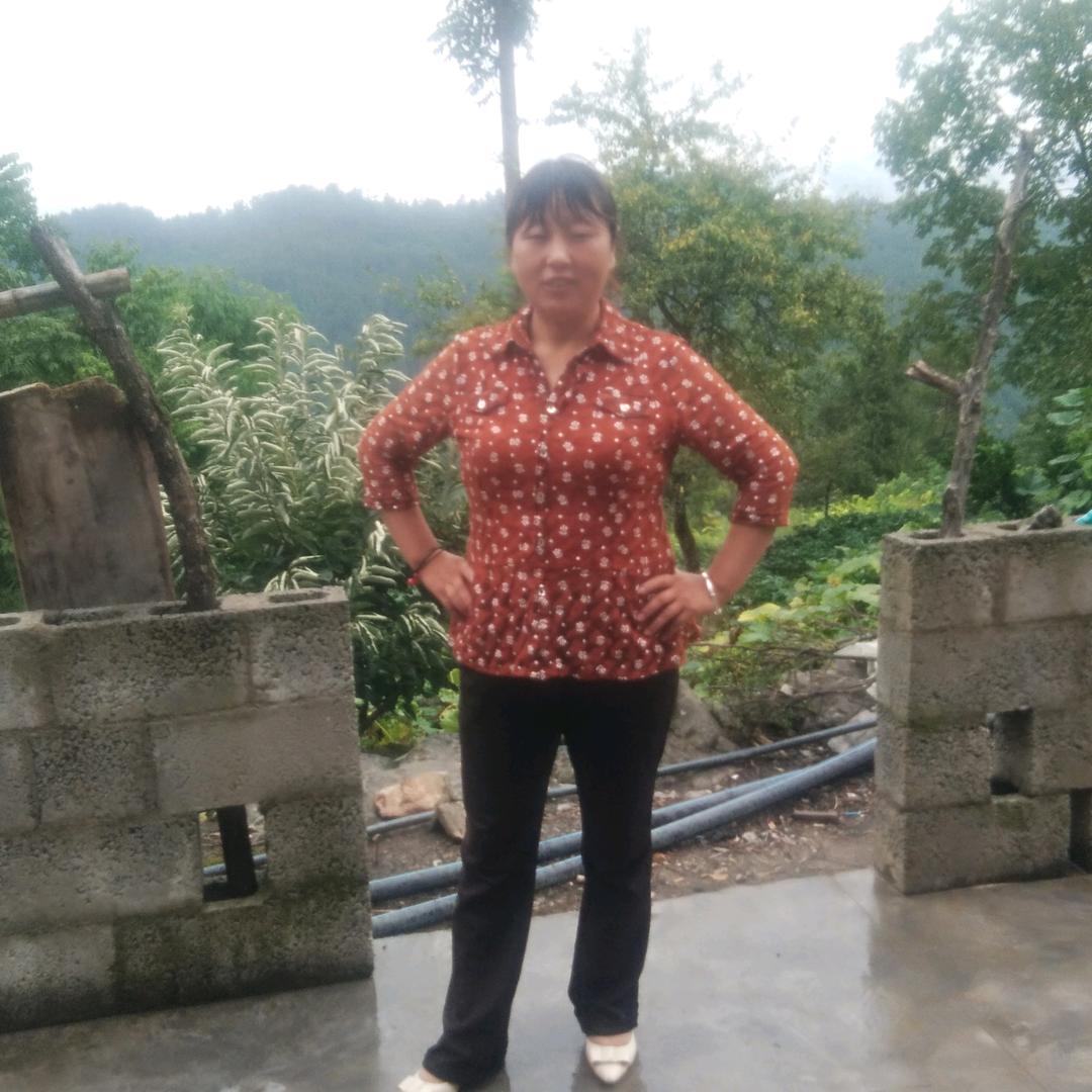 小元八仙队飞飞