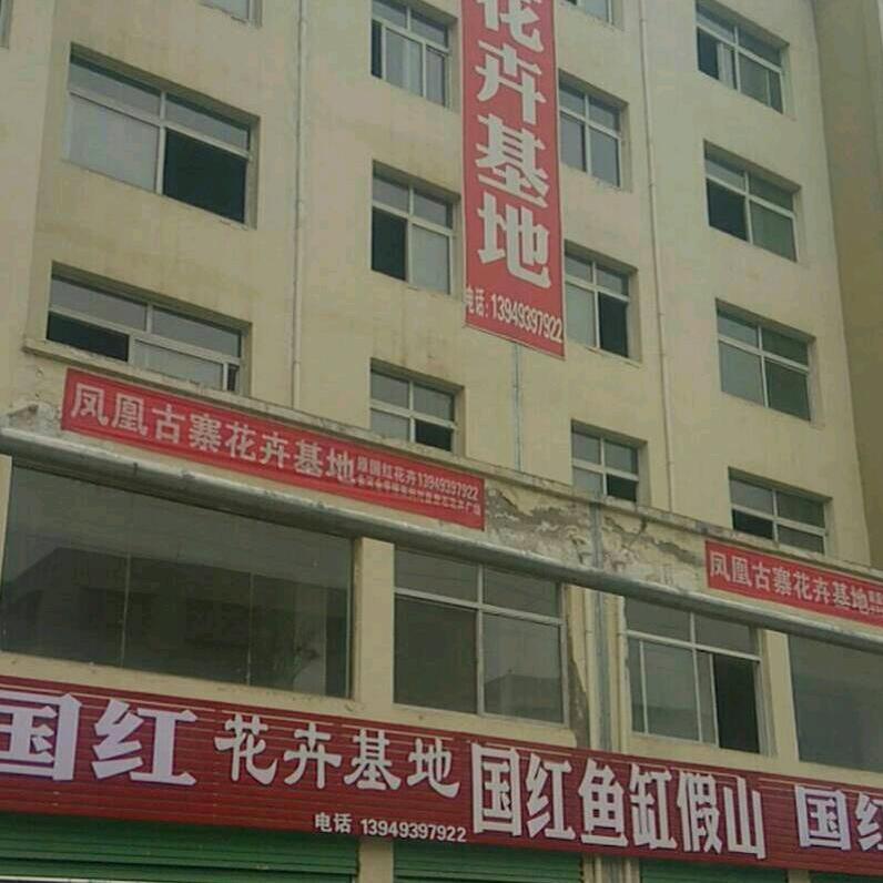 国红花卉基地