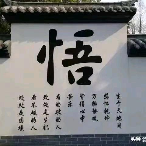 禅茶