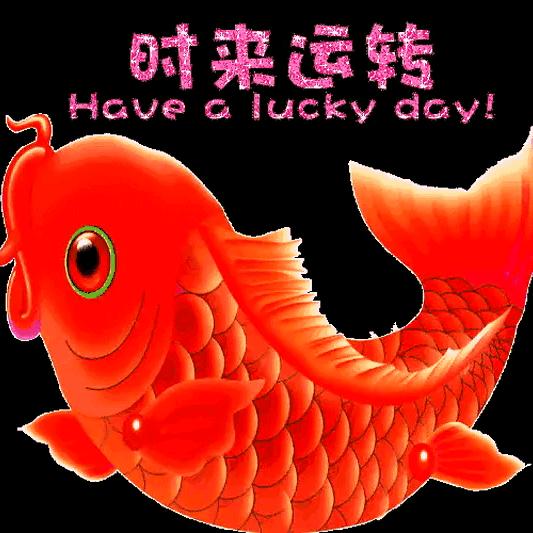 夫夫