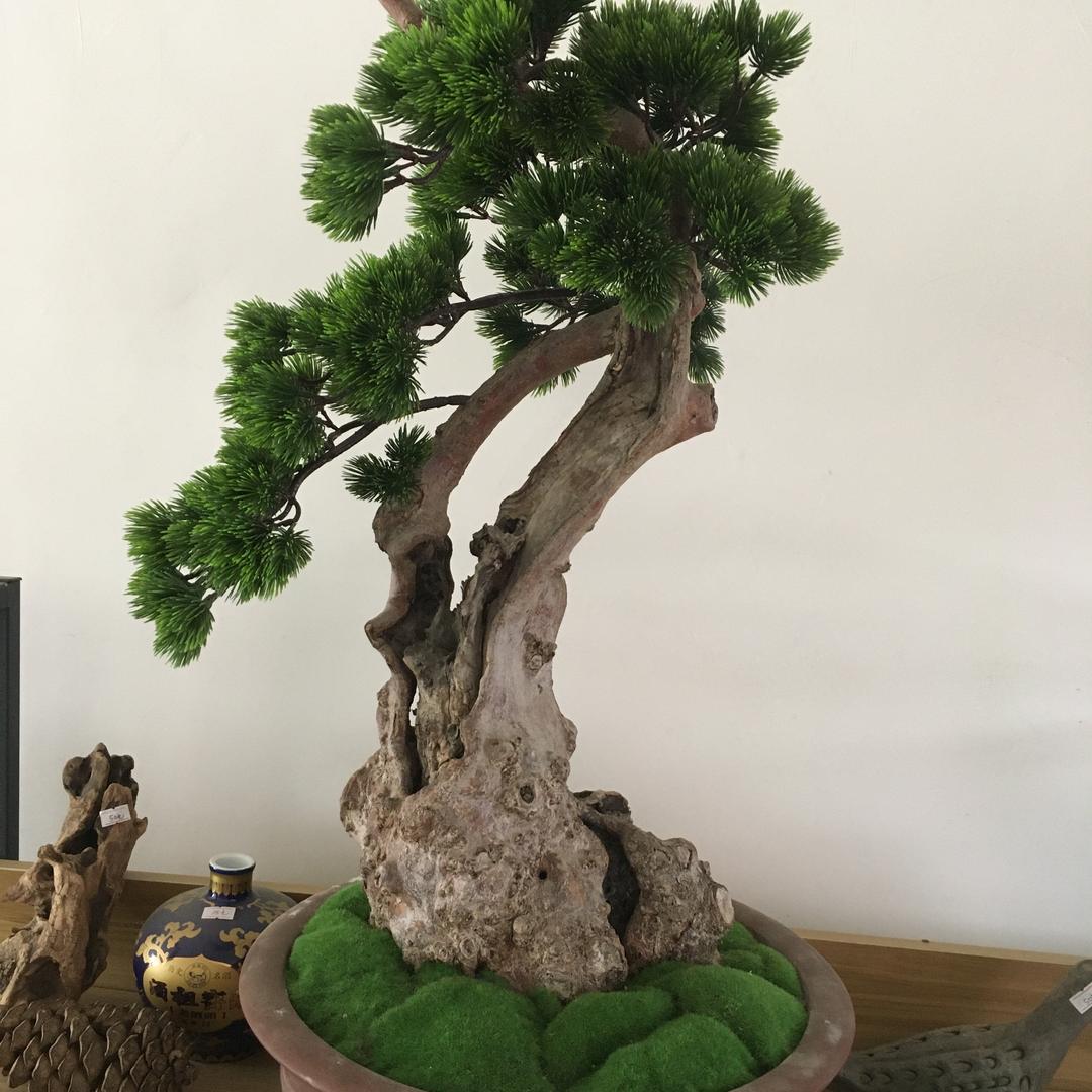 耀灵盆景根艺园