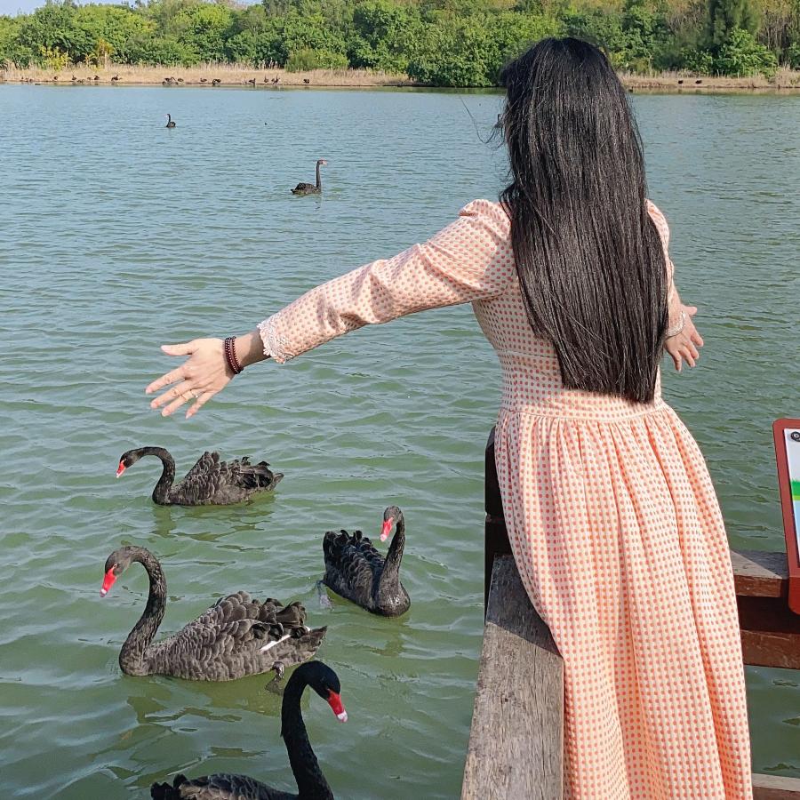 秀秀@