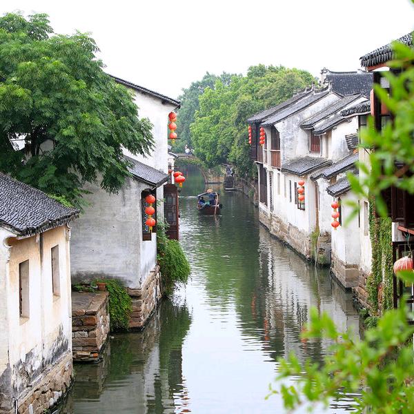 天天快乐的奶奶