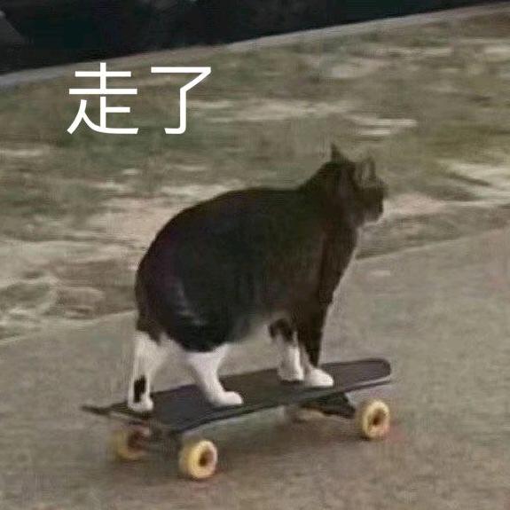 武木公子