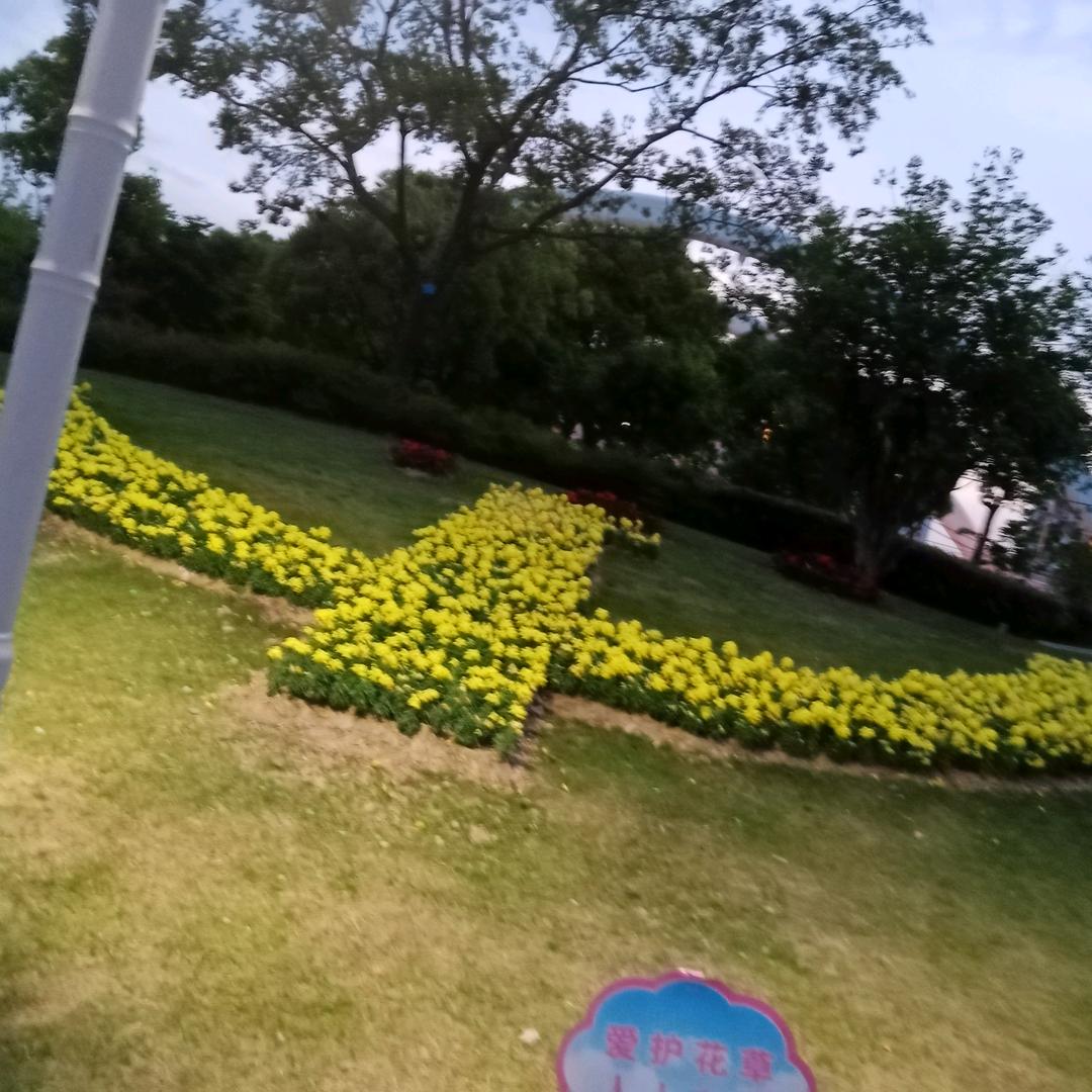 老丁