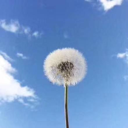 🌻微笑🍭🍭《拒绝连赞》