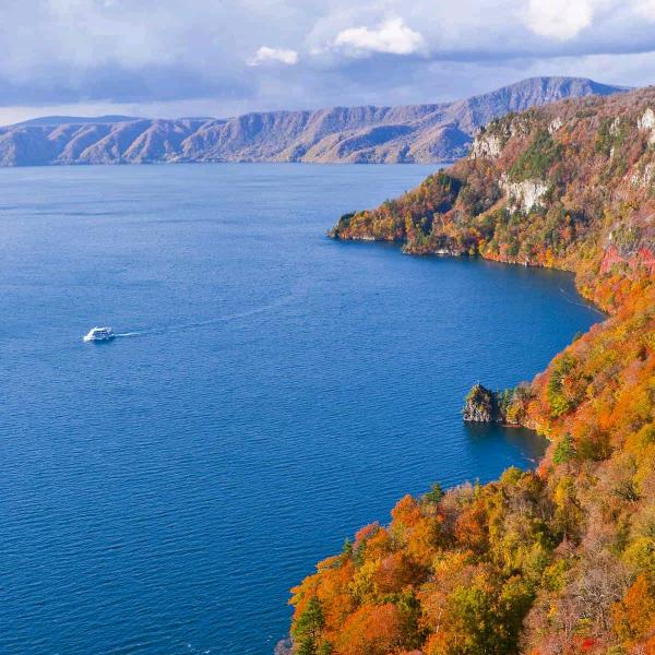 手机用户78494866040