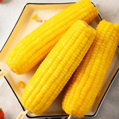 东北香糯黏玉米🌽
