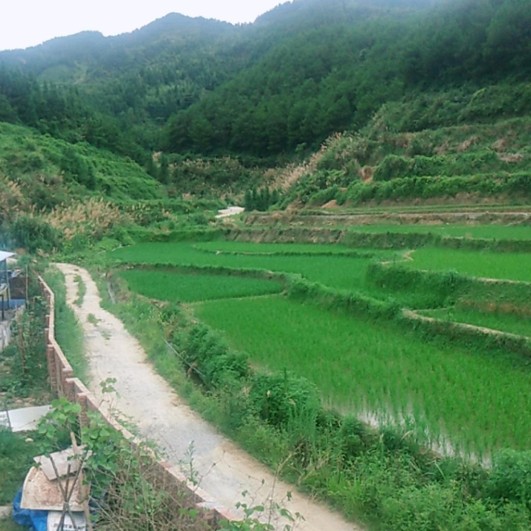 小草百货