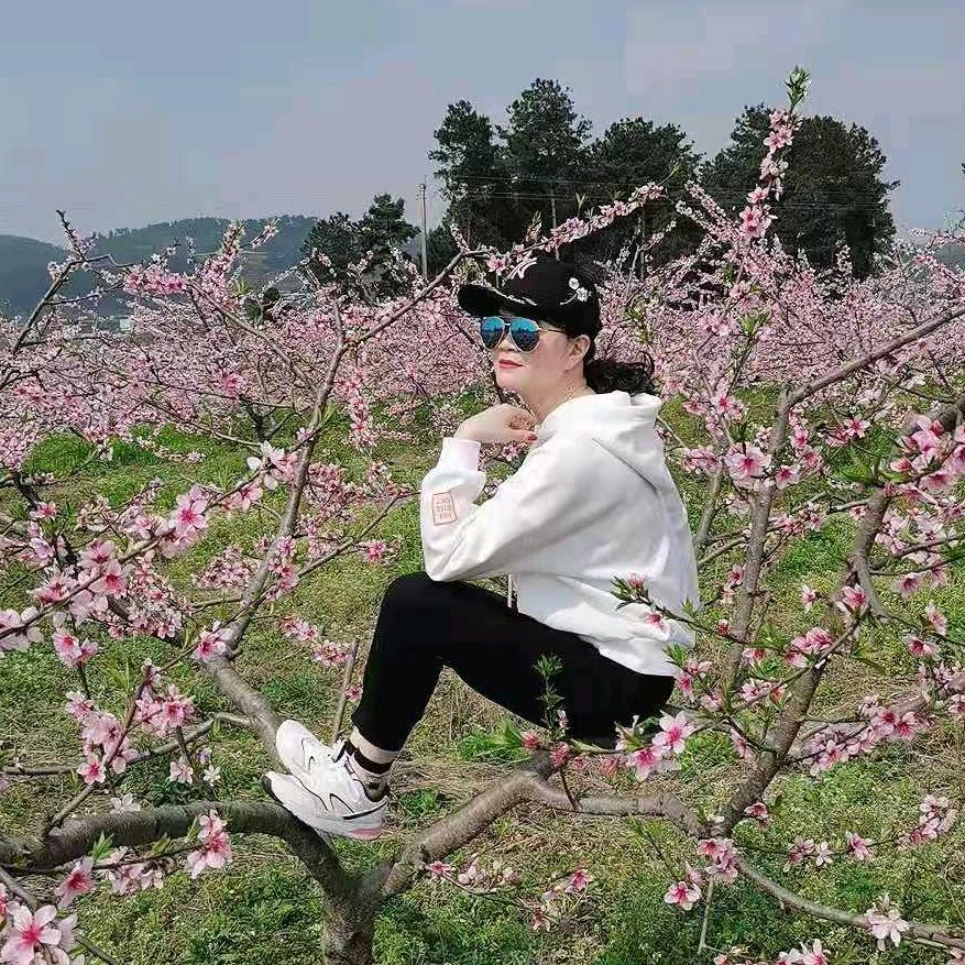 明月清风