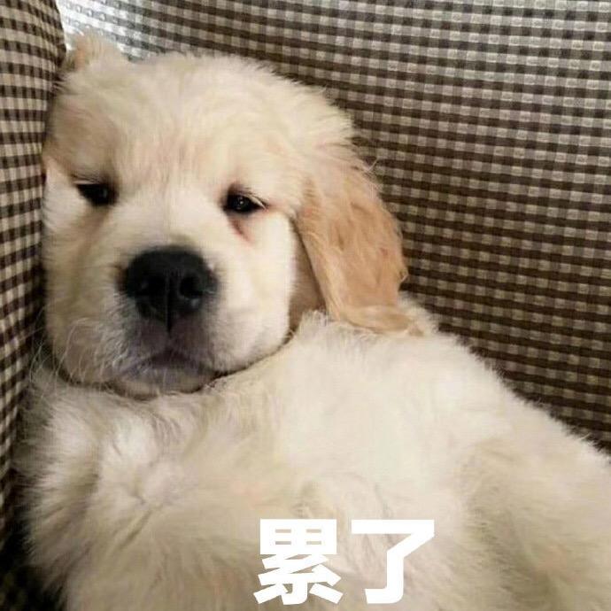 少吃点！