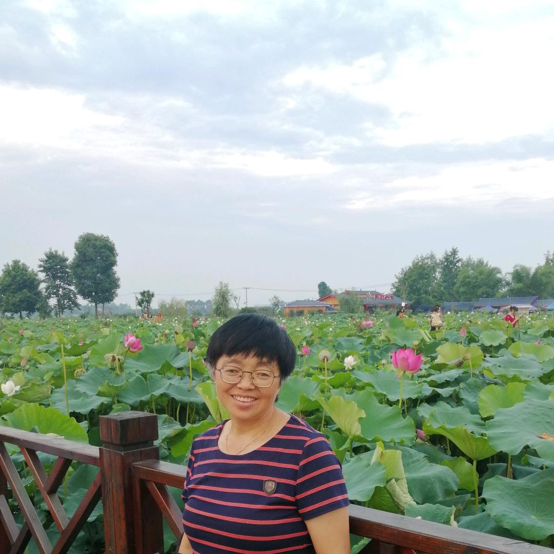 杨姐