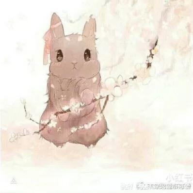 小肉团