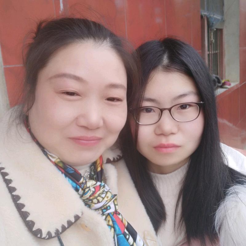 太阳下的向日葵