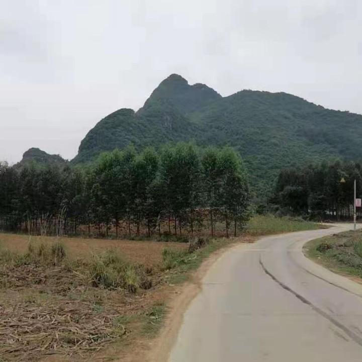 隐士