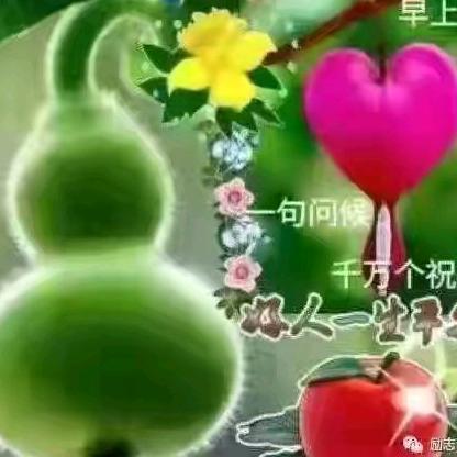 珍珠粉
