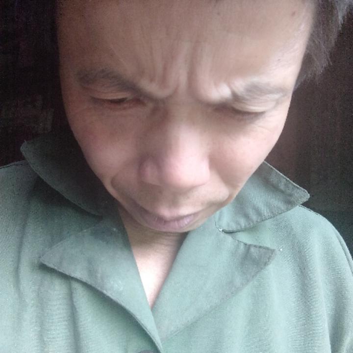 529633804