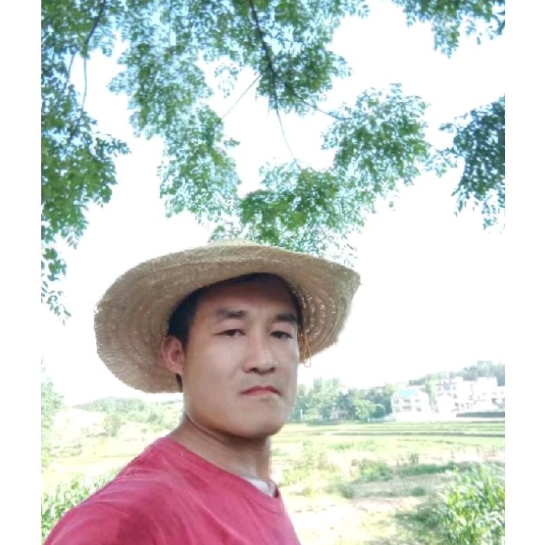 农村草帽哥土猪肉