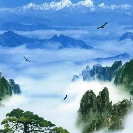 伟伟～