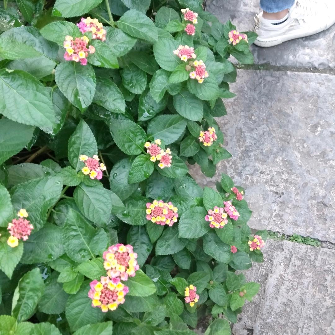 一缕阳光