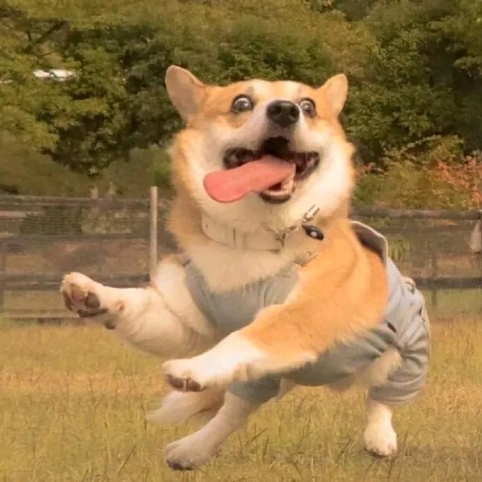 菄芃
