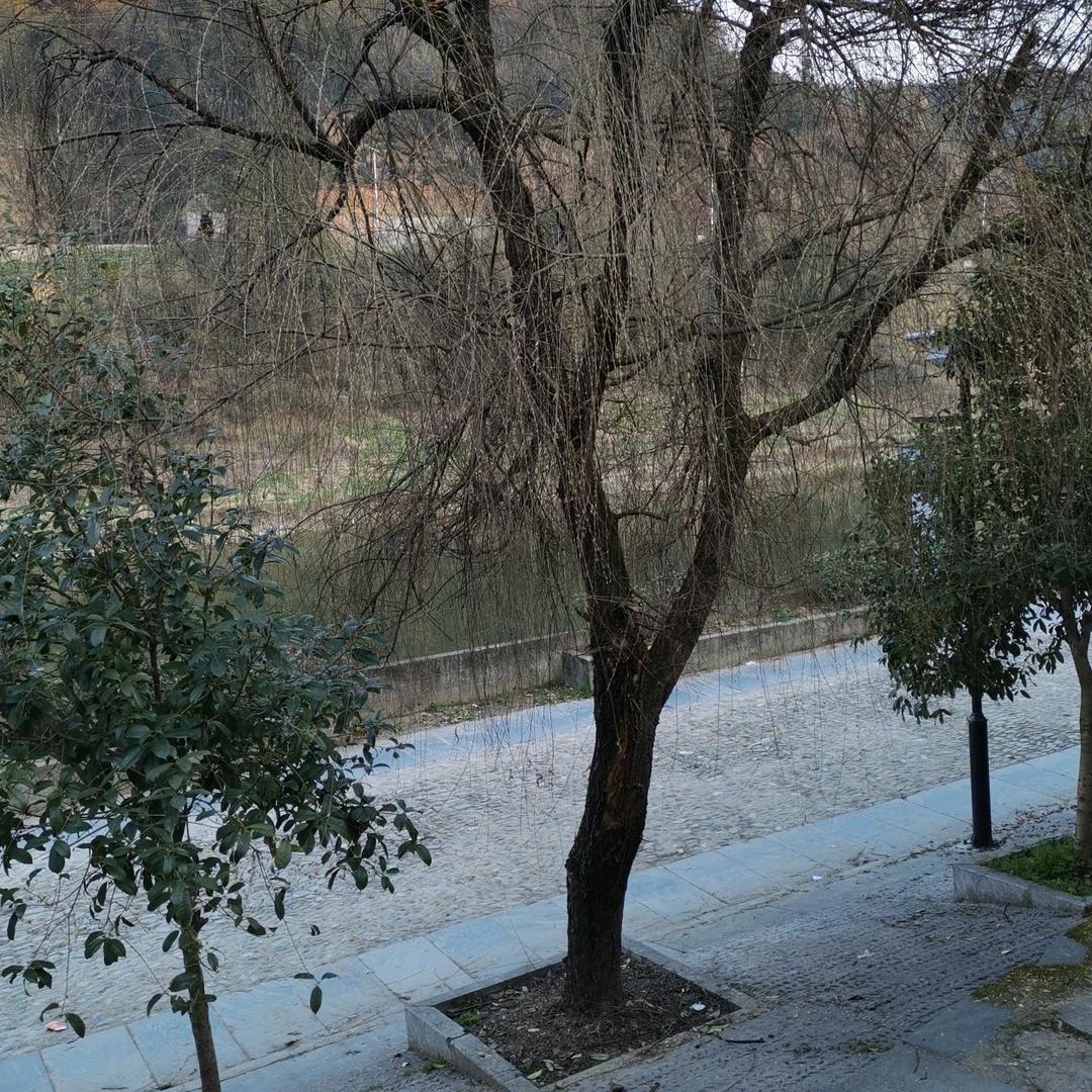 用户7184651247290