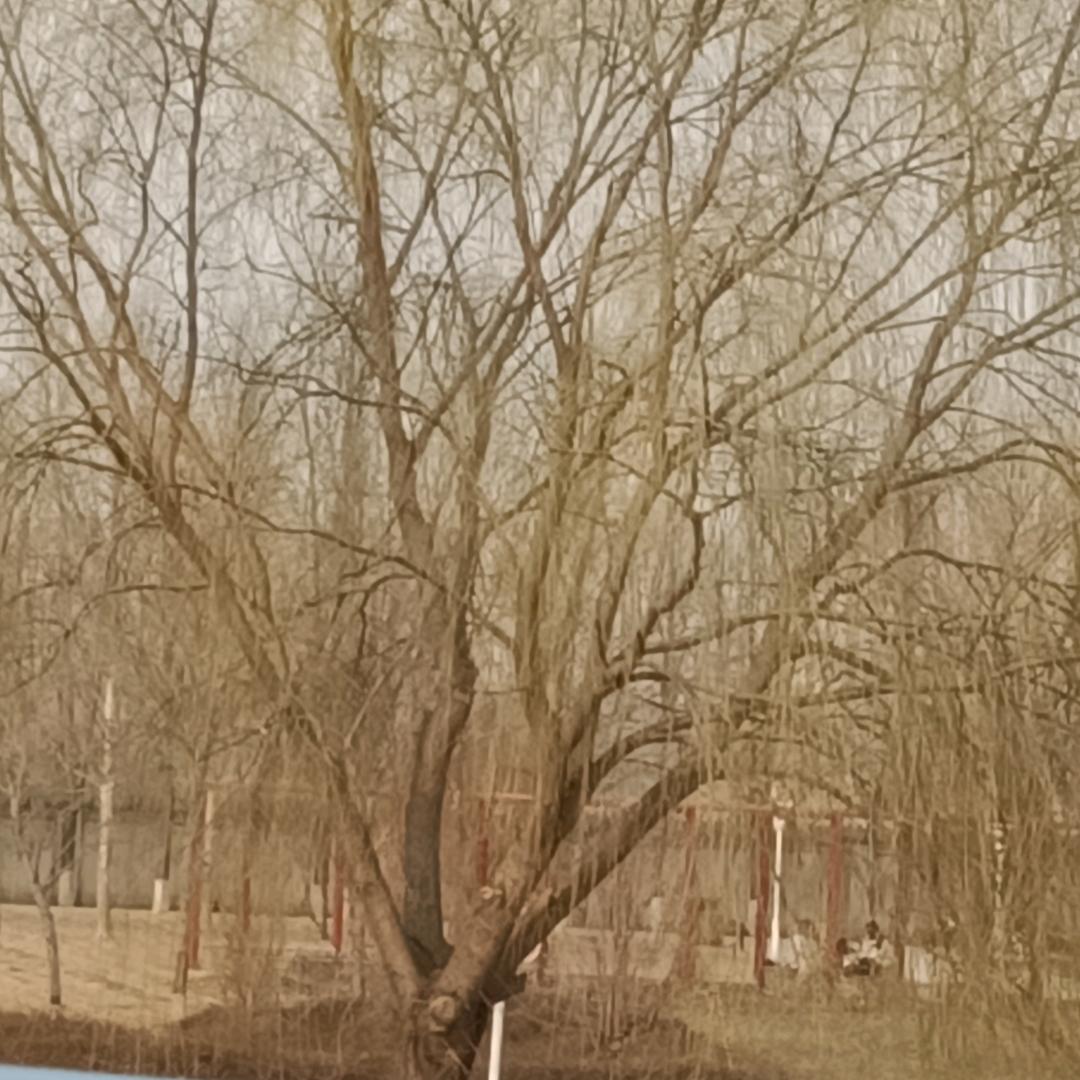 琳琳昊昊
