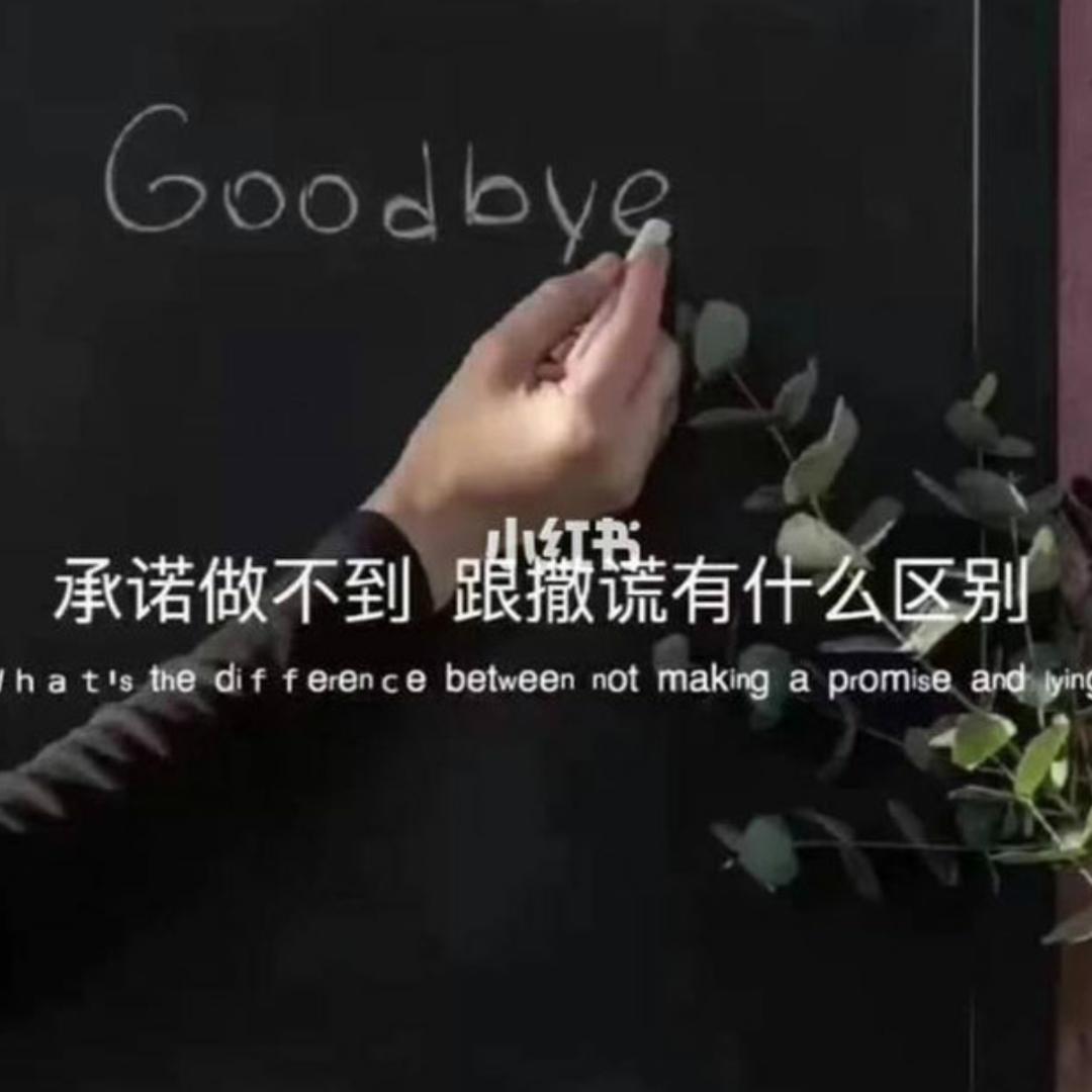 袁宝宝