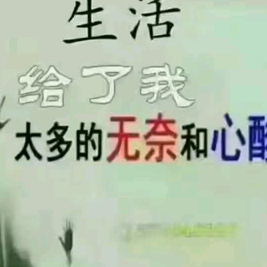 慢慢的适应一切