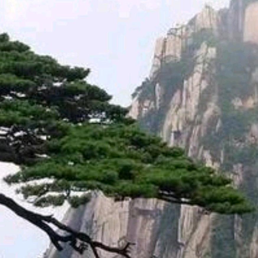 执简