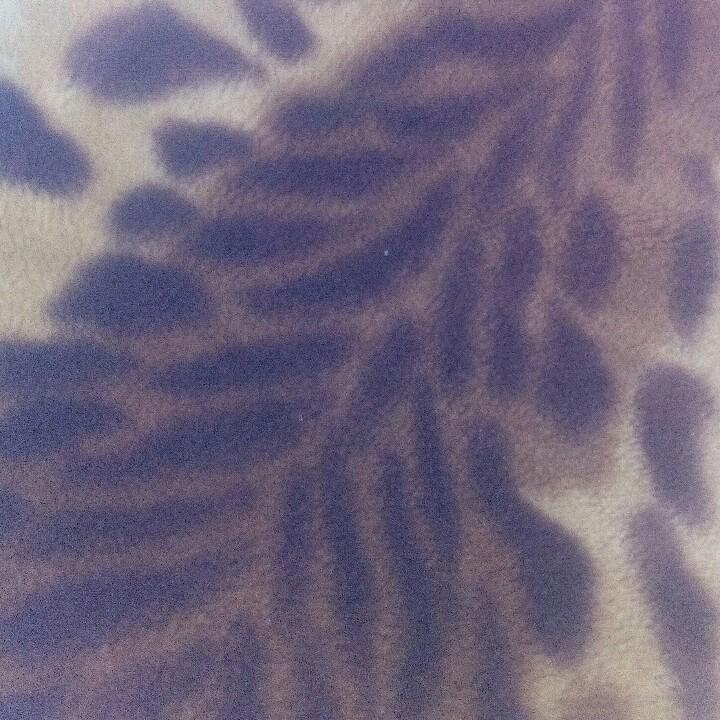 通州区漷县镇榆林庄村北鱼池