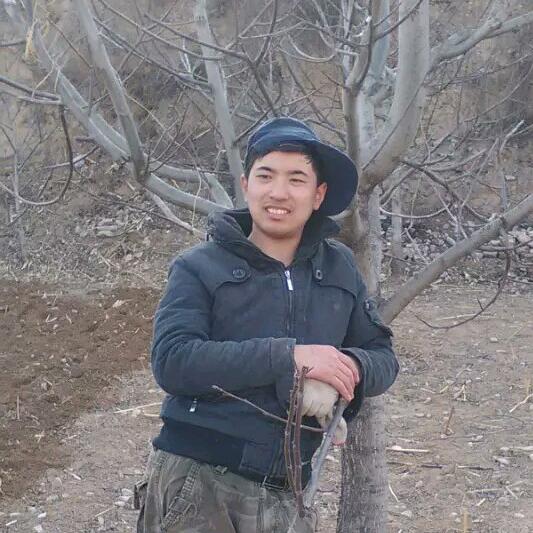 非凡人生五谷杂粮馒头