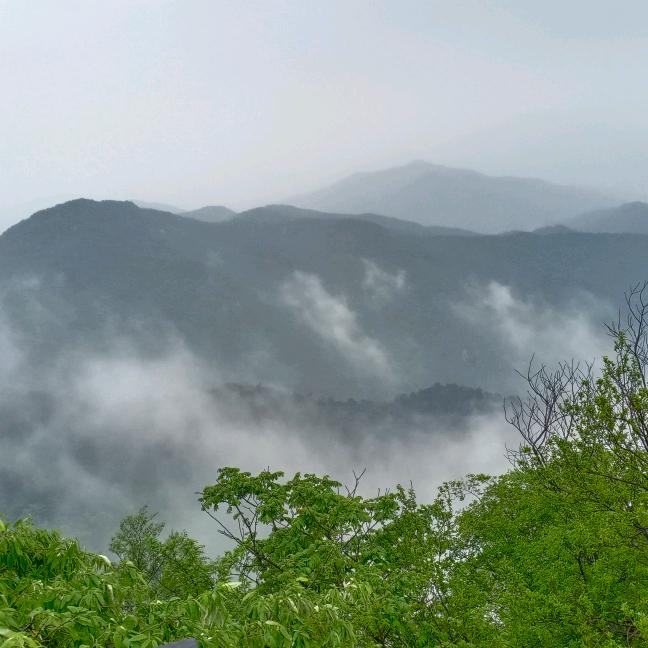 凤燕生态园饭庄   大舞台