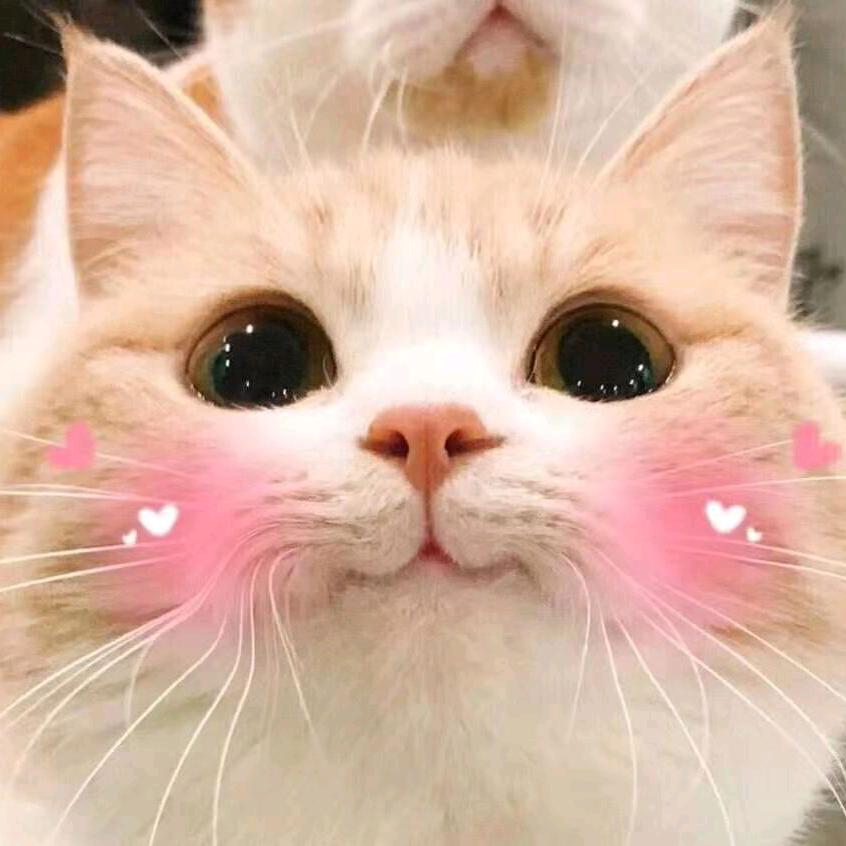 夏沫严
