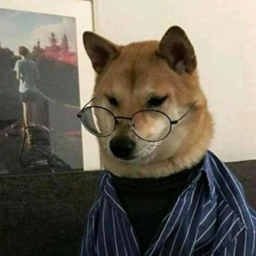 余生不打扰