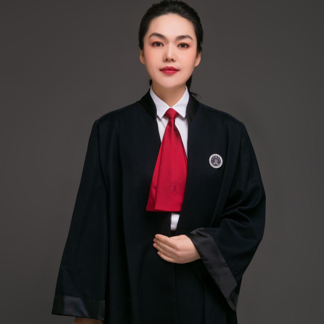 帕丽达律师